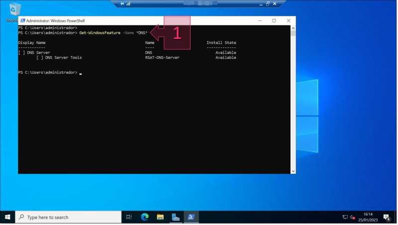 Check whether DNS features are already installed on the server