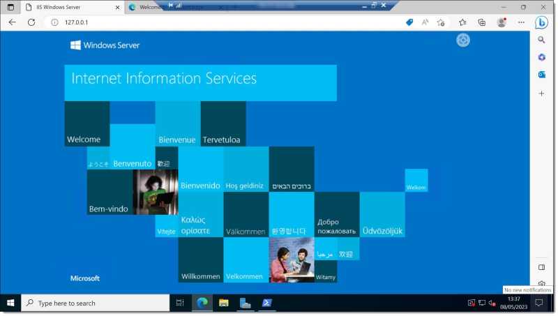 Image - Check that you can access IIS from the local server