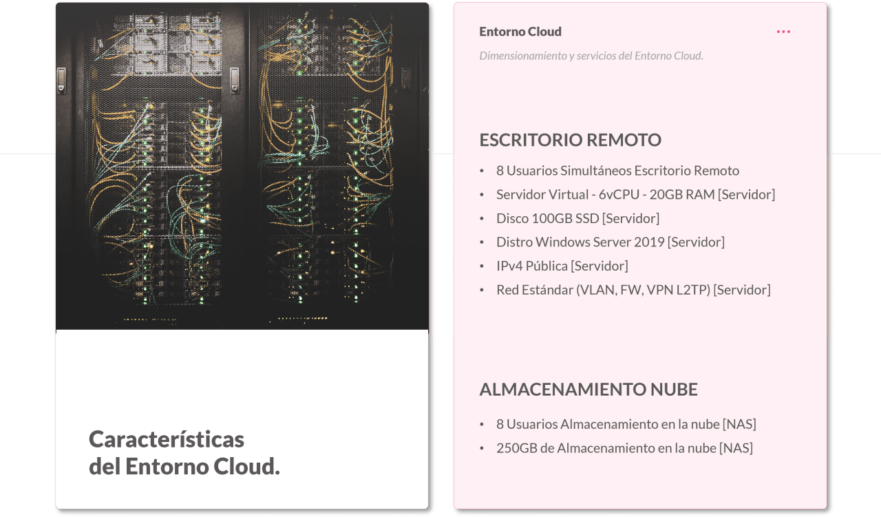 apostar por soluciones cloud, características cloud