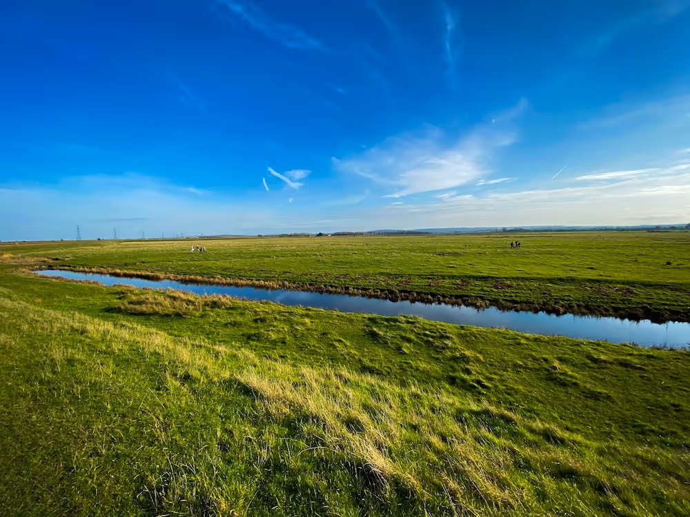 Faversham fields