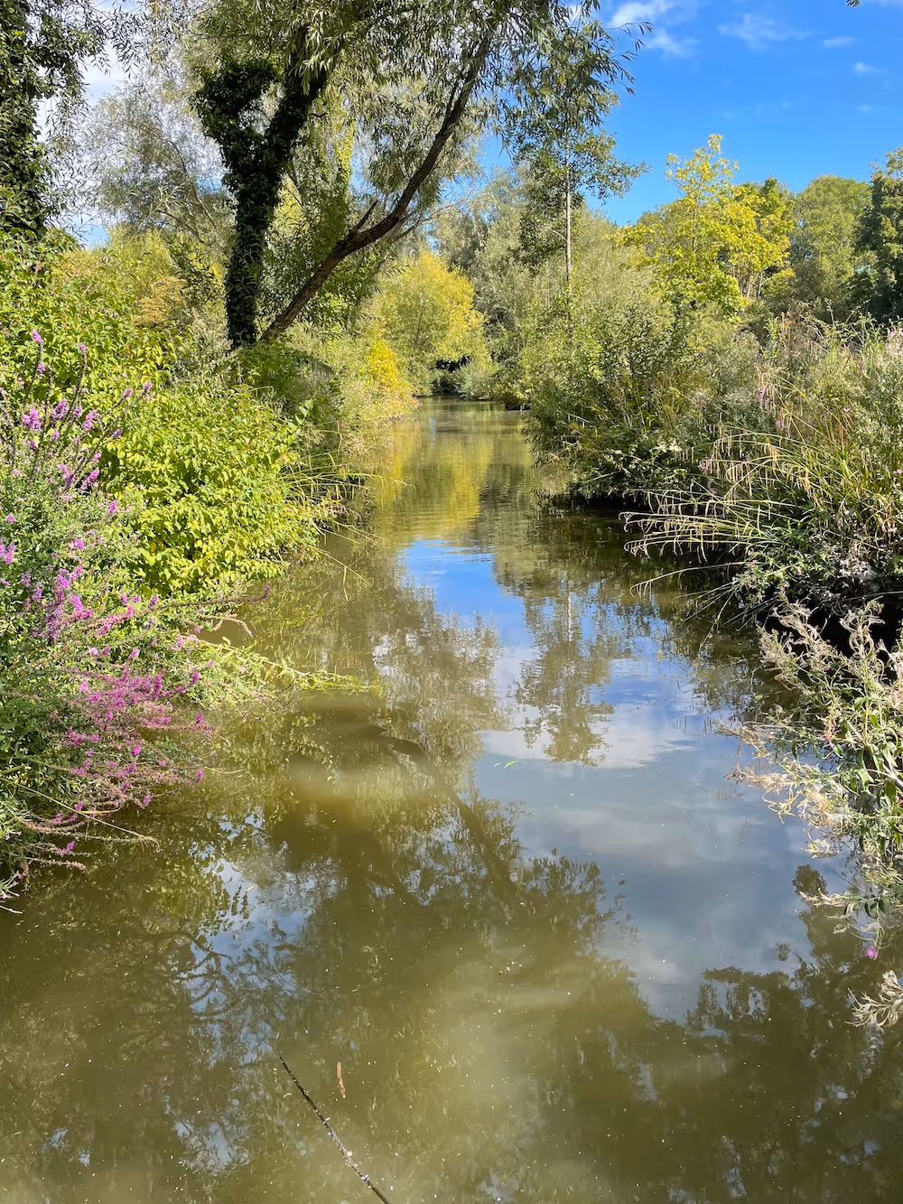Sandwich river