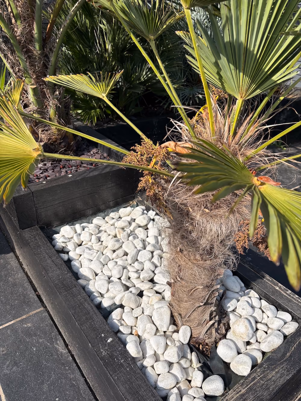 Customer project with decorative stones by J&J Aggregates