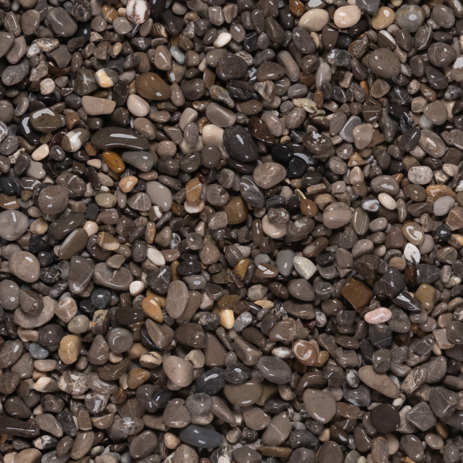 Dove Grey Decorative Pebbles 8–16mm
