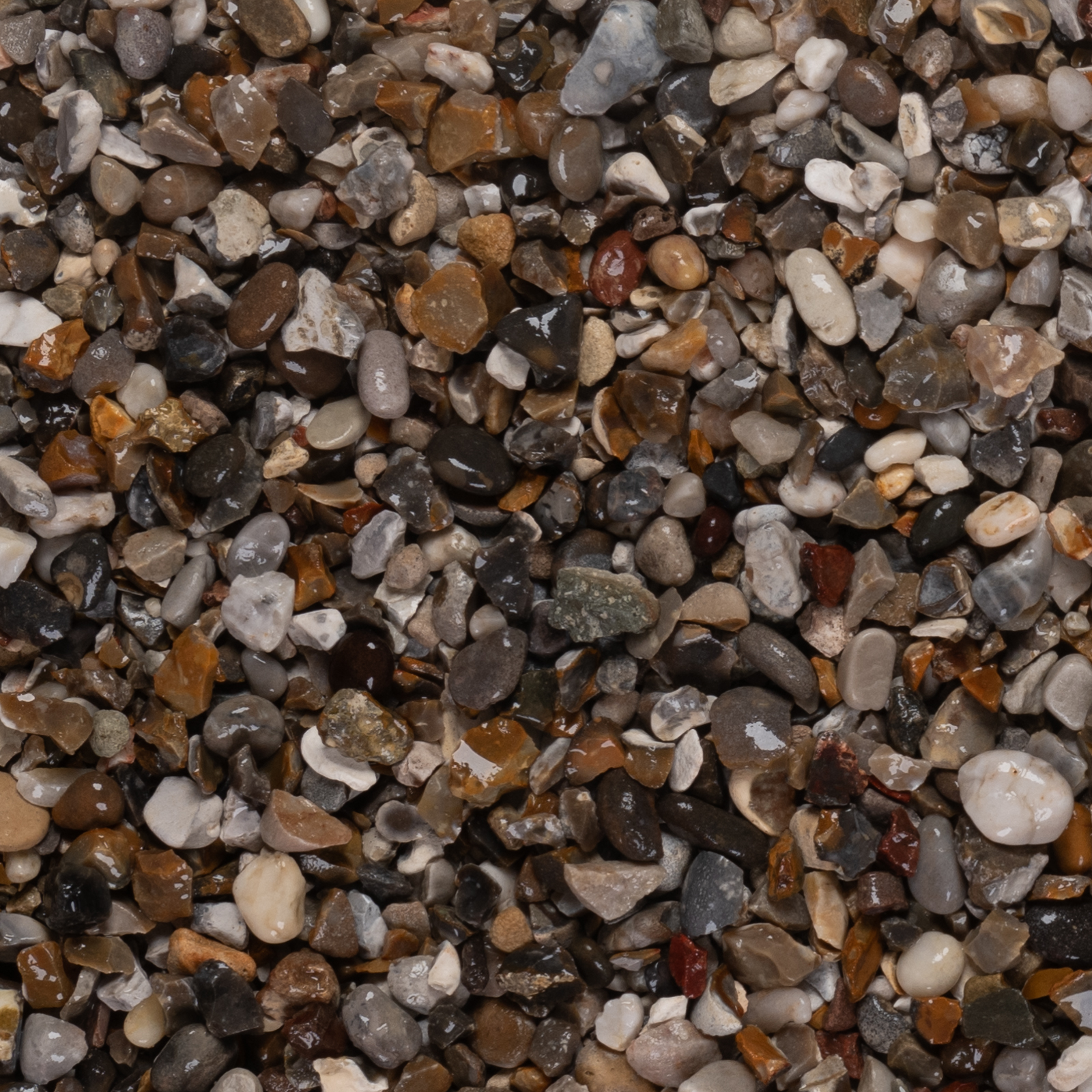 Oyster Pebbles 20mm