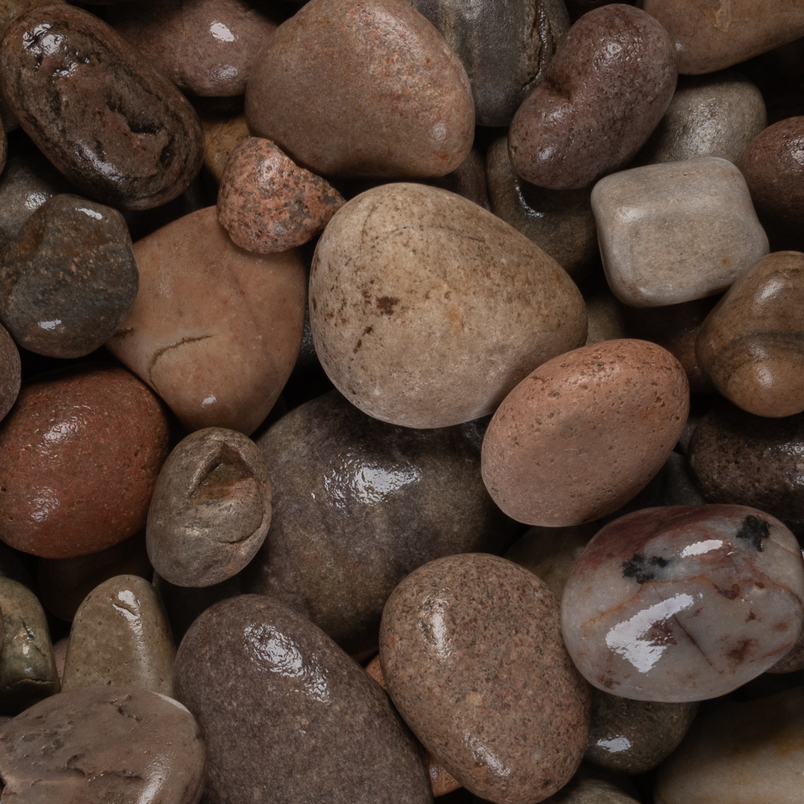 Scottish Cobbles 50-75mm