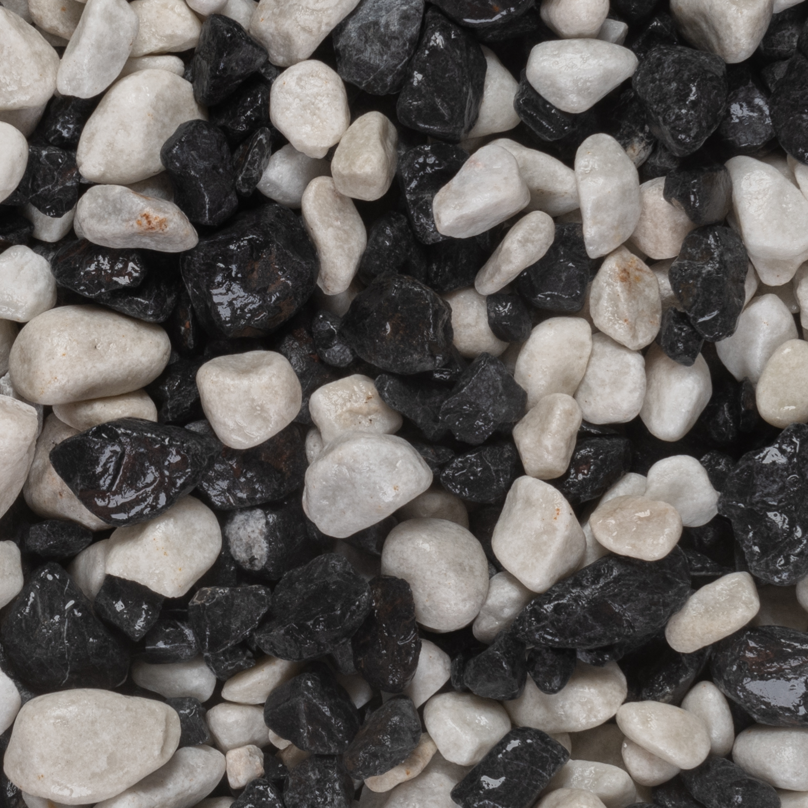Zebra Pebbles 20-40mm