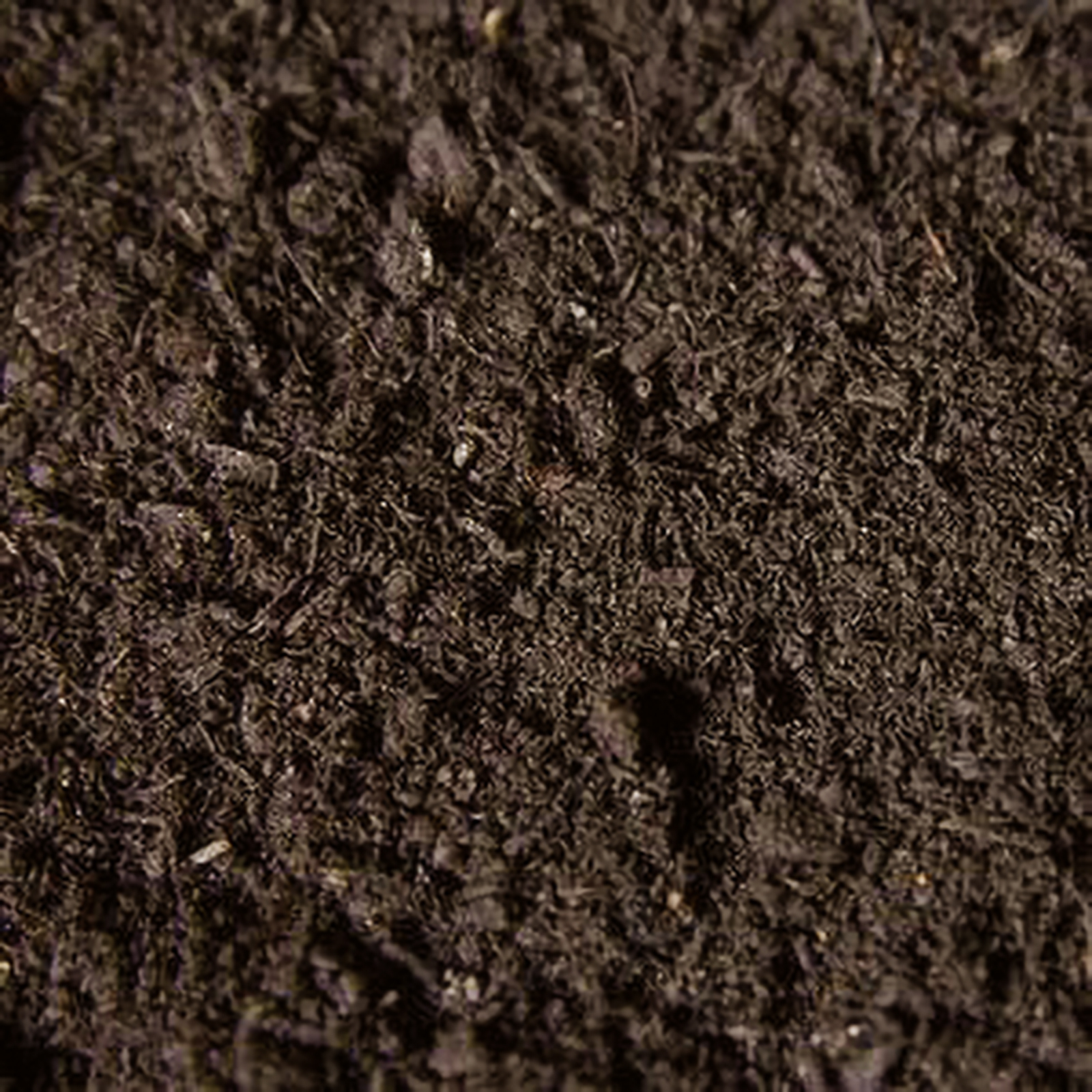Premium Top Soil