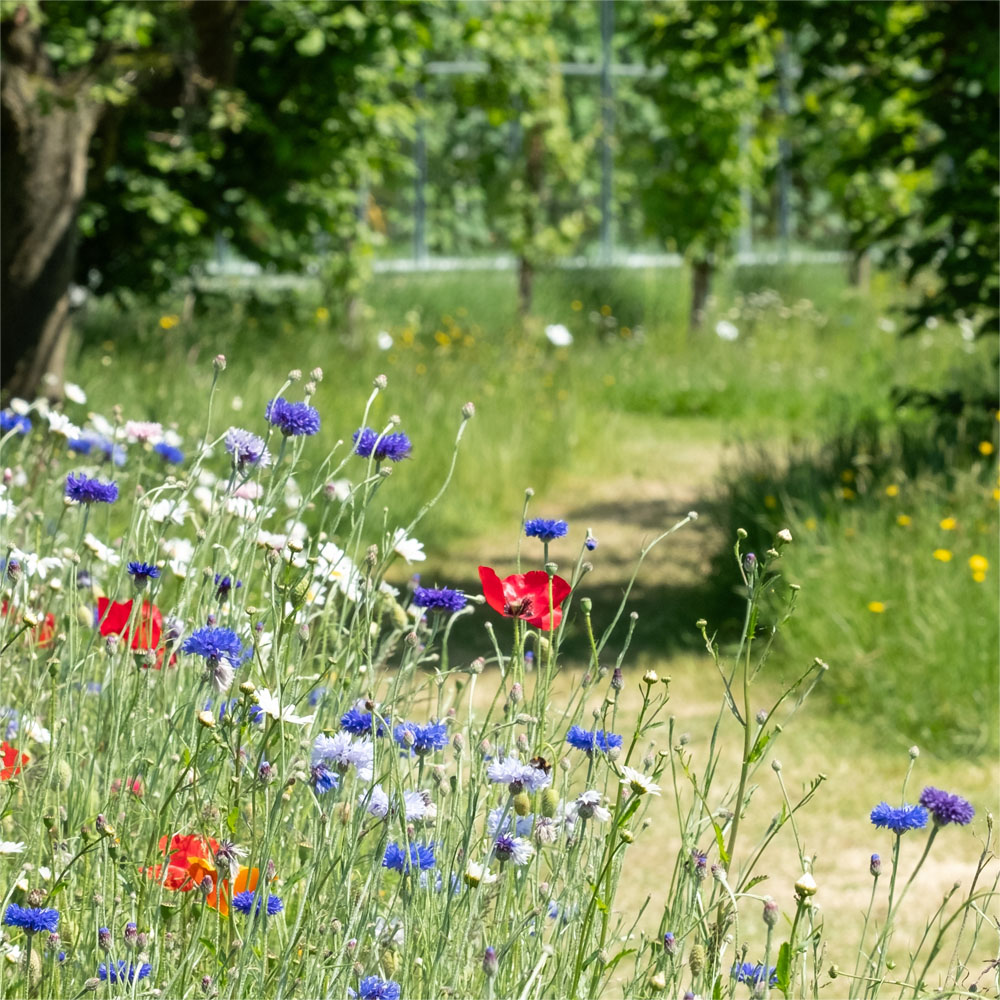 A woman with a joyful expression, eyes closed, and messy bun stands in a forest. She's wearing a choker and necklace. Light rain adds to the fresh, cheerful mood.
