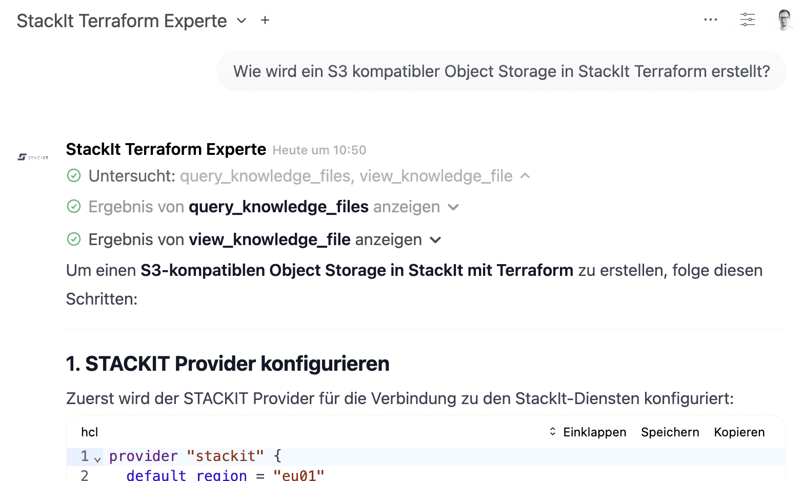 Screenshot of “StackIt Terraform Experte” explaining how to create S3-compatible object storage in StackIt with Terraform.