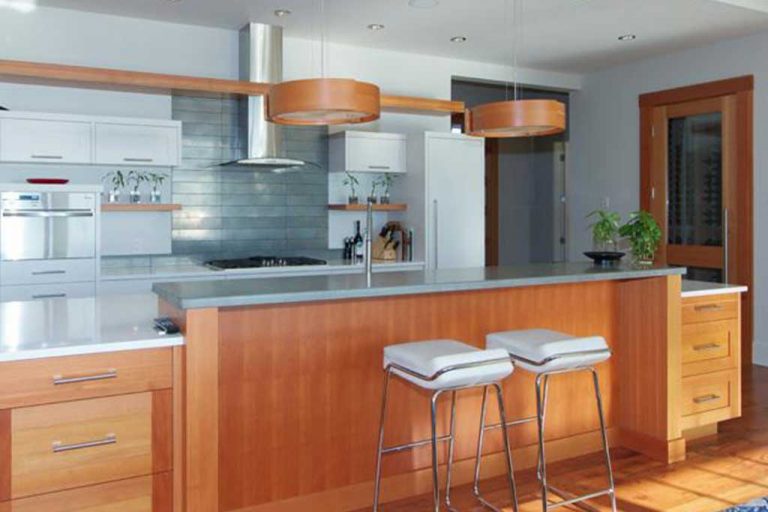 Kitchen transitional img1