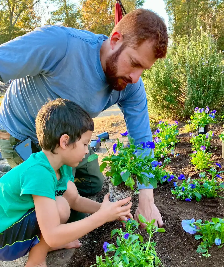 Landscape contractor planting colorful flowers with a child