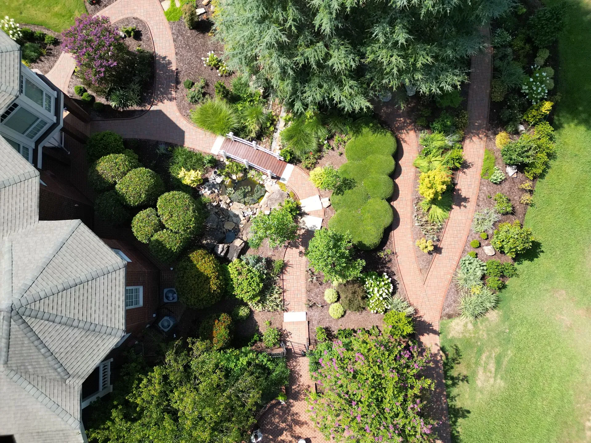 Lush garden pathway with pond and landscape planting