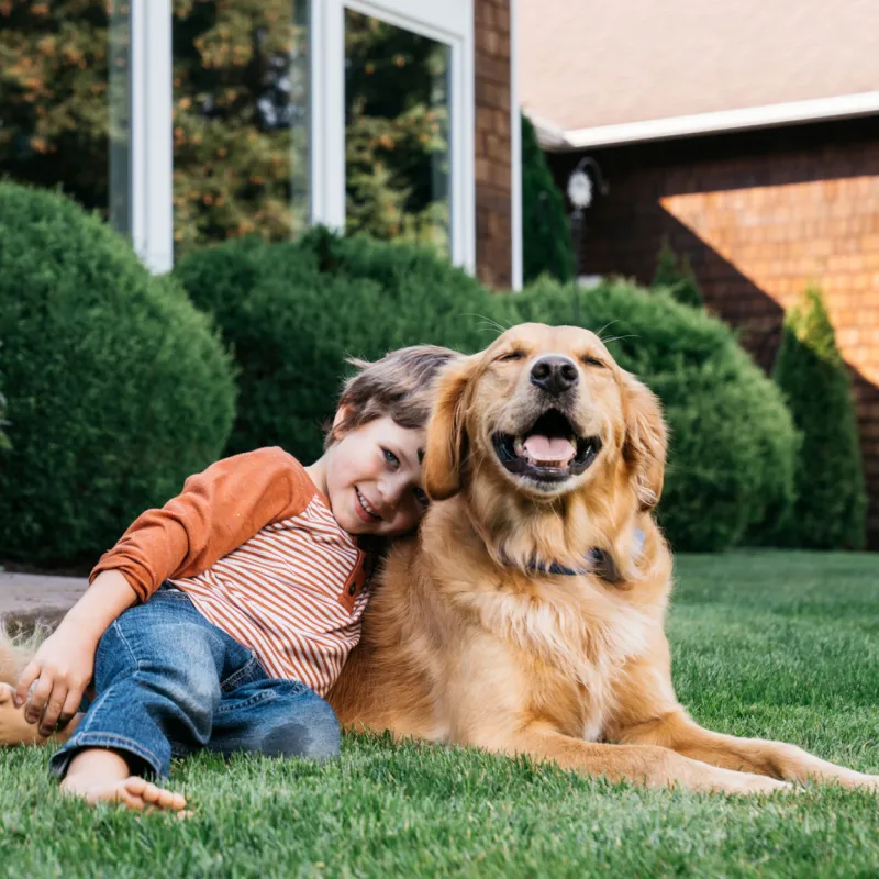 Kid cuddling with dog in yard