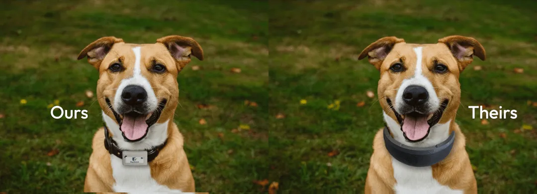 Dog Guard collar vs. GPS collar size