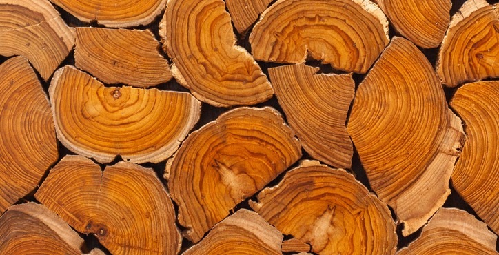 teak wood logs