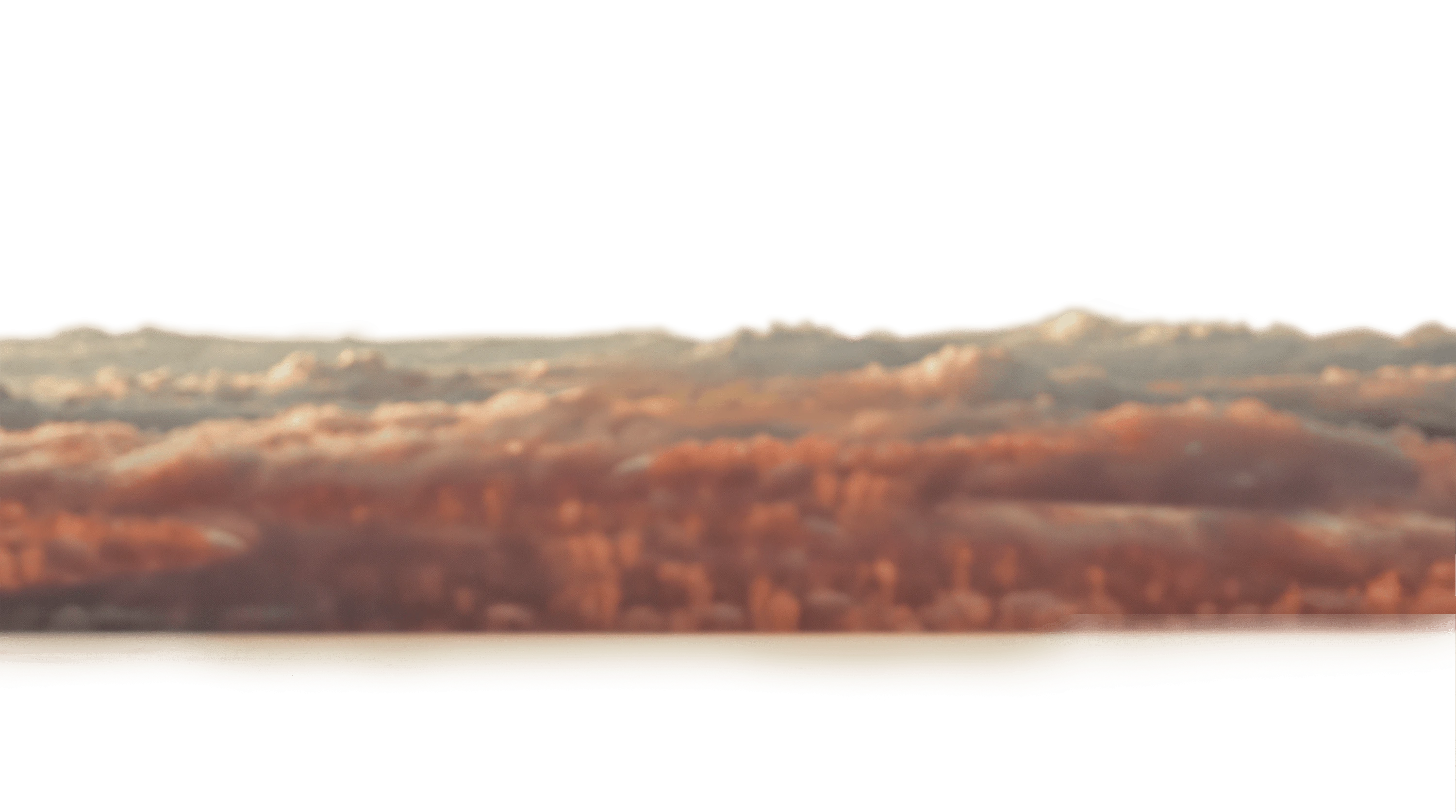 Soft-focus view of a dense forest with autumn foliage in warm orange and brown tones.