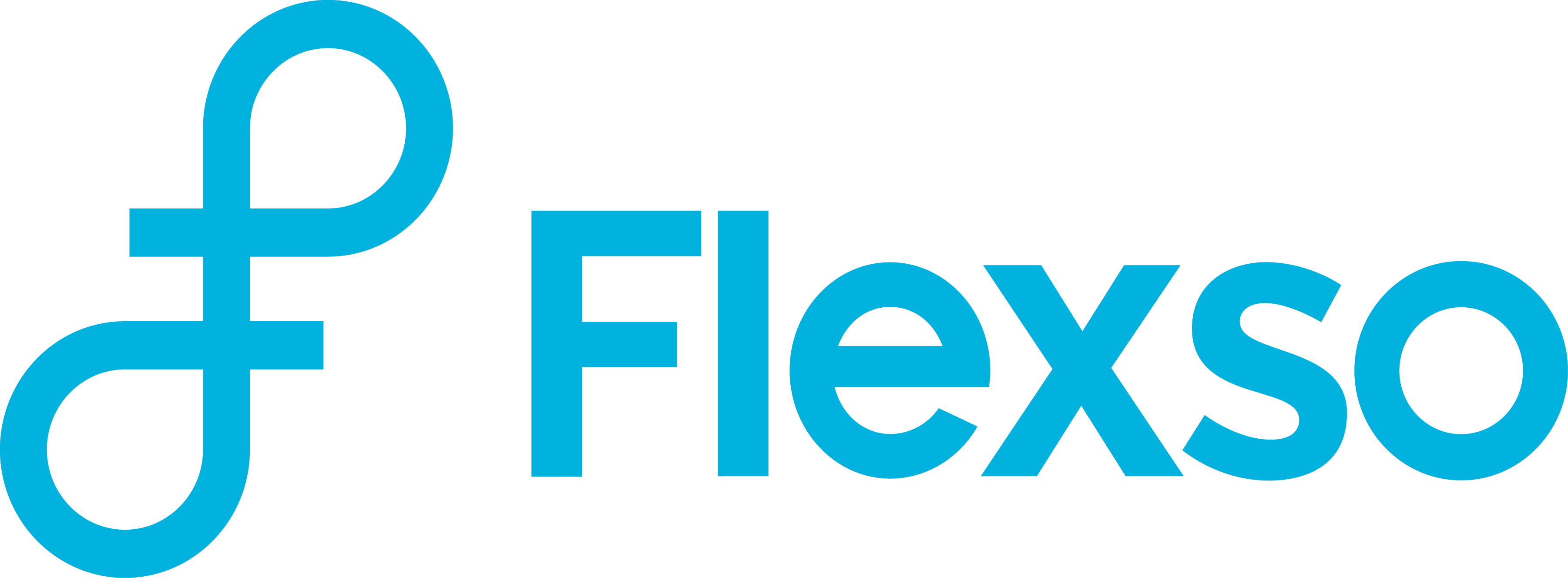 Flexso logo