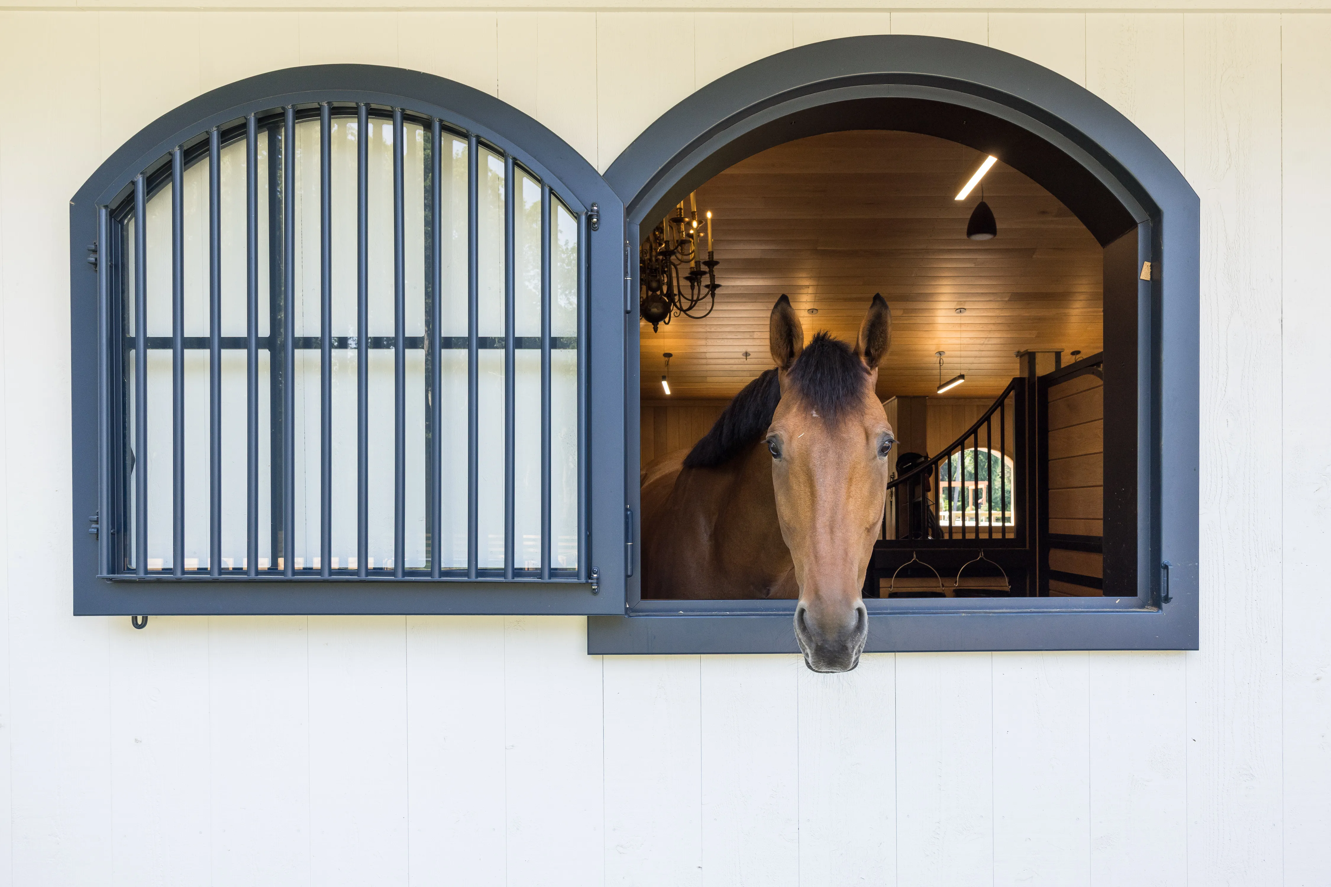 A blue arched stall window is open, giving a view into the interior of this stable while a horse peeks its head out in curiosity.