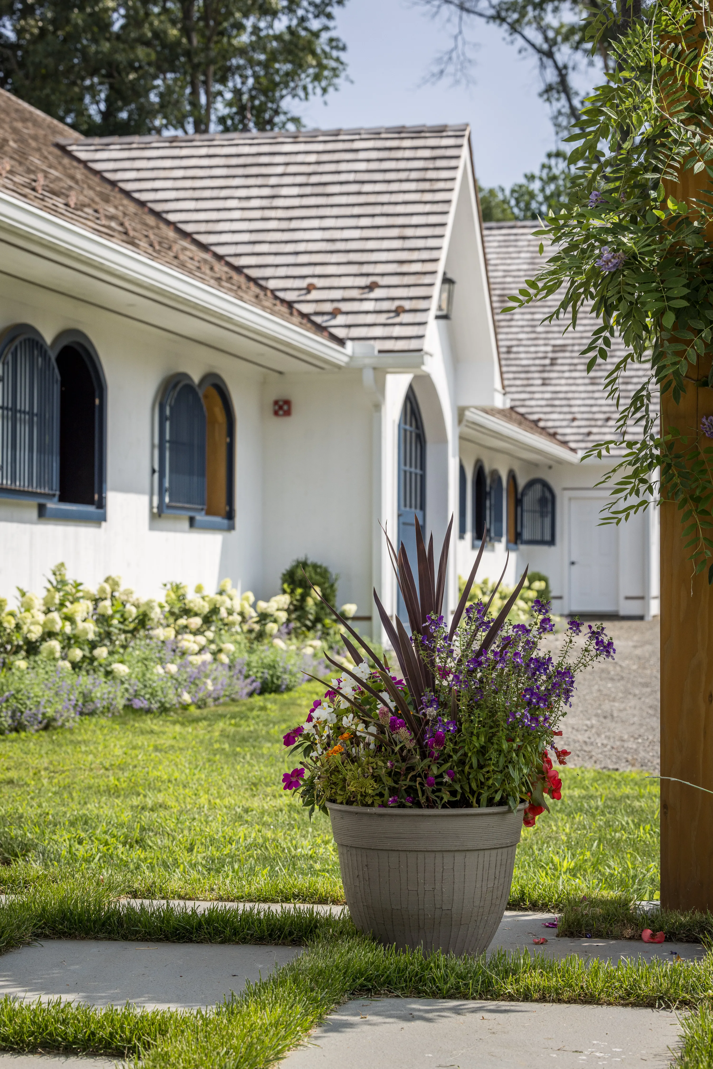 A close-up of potted flowers with a white horse barn with blue windows and doors looming in the background.