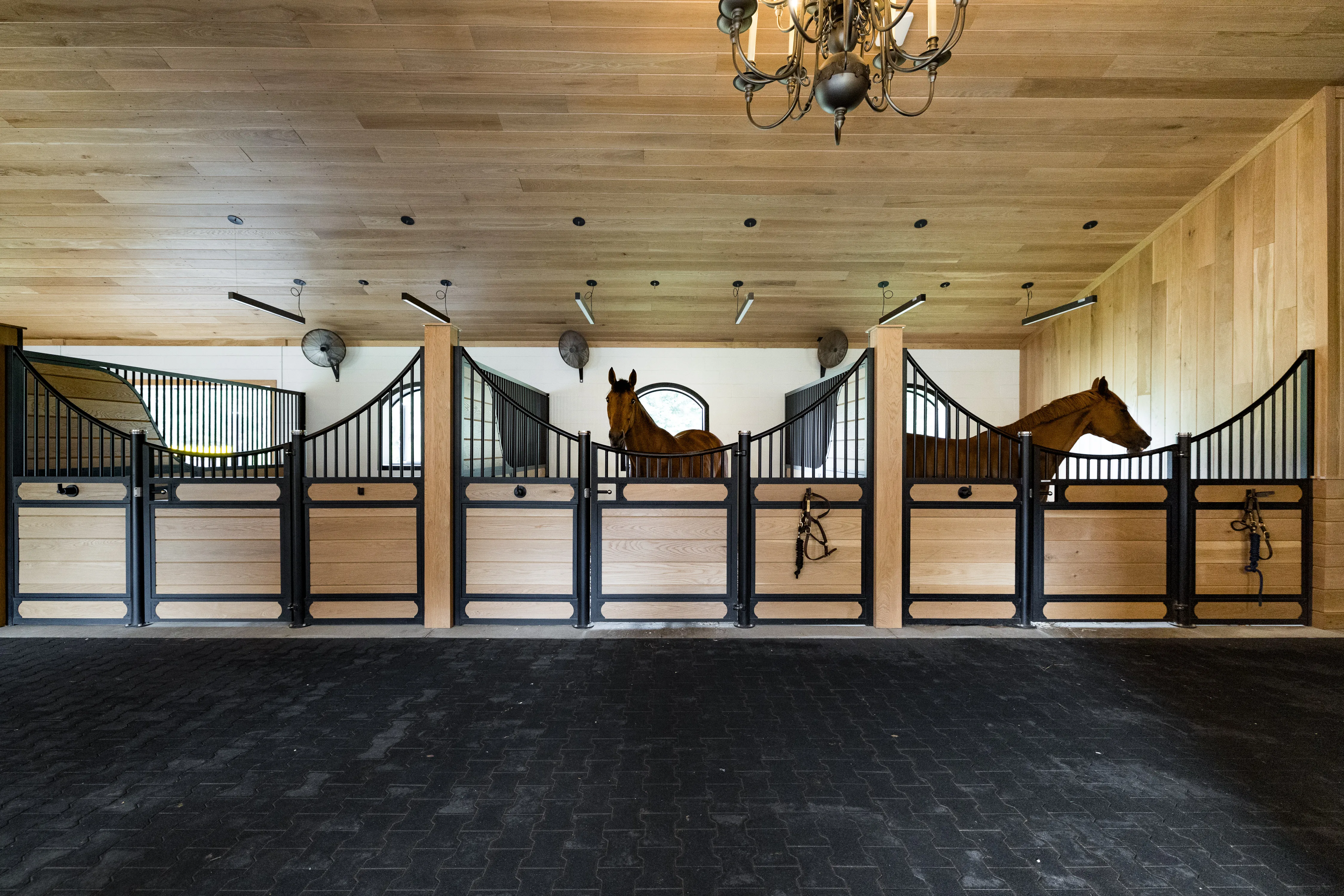 A row of occupied custom horse stalls lines the center aisle of this stable, with natural light coming in from the open windows.