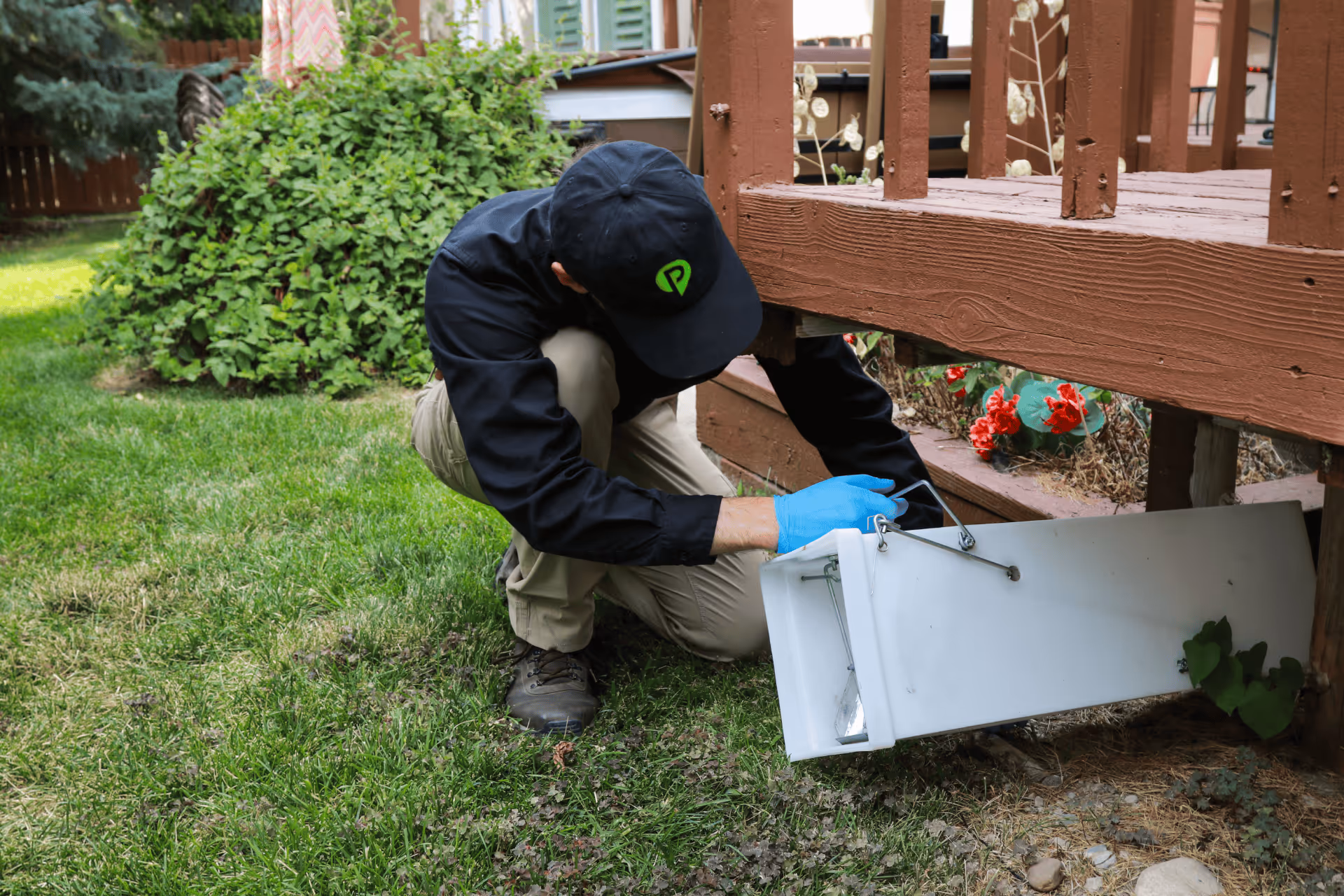 pest pro pest control technician setting wildlife live trap