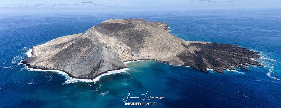 Mantas, sharks, dolphins and a surprice visit by humpback whales in Socorro Islands, Mexico