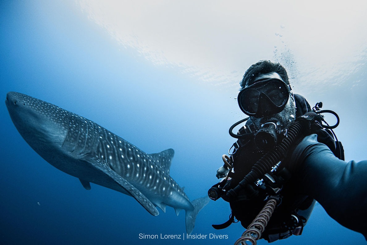 Selfie with a friendly Whaleshark