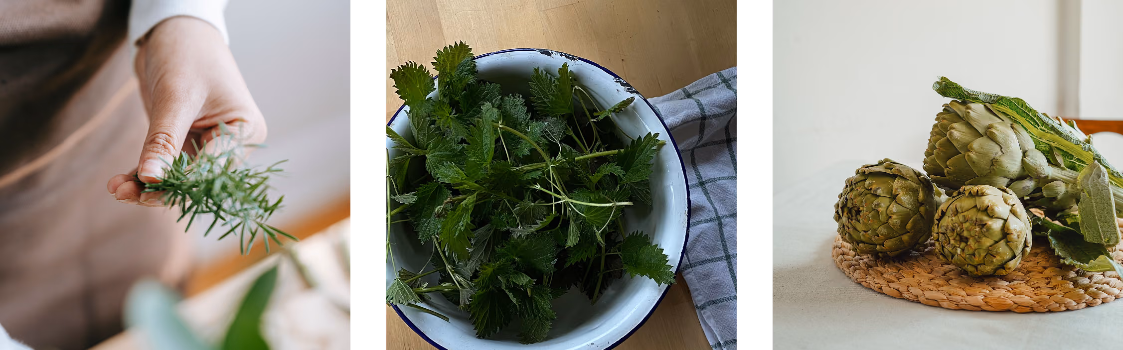 3 photos de plantes qui soutiennent le foie