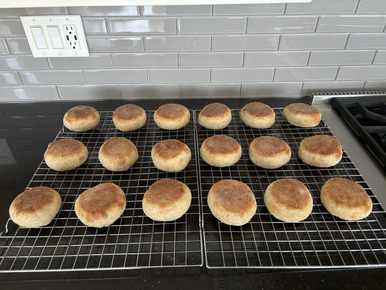 A fresh batch of Sourdough English Muffins on a baking tray.