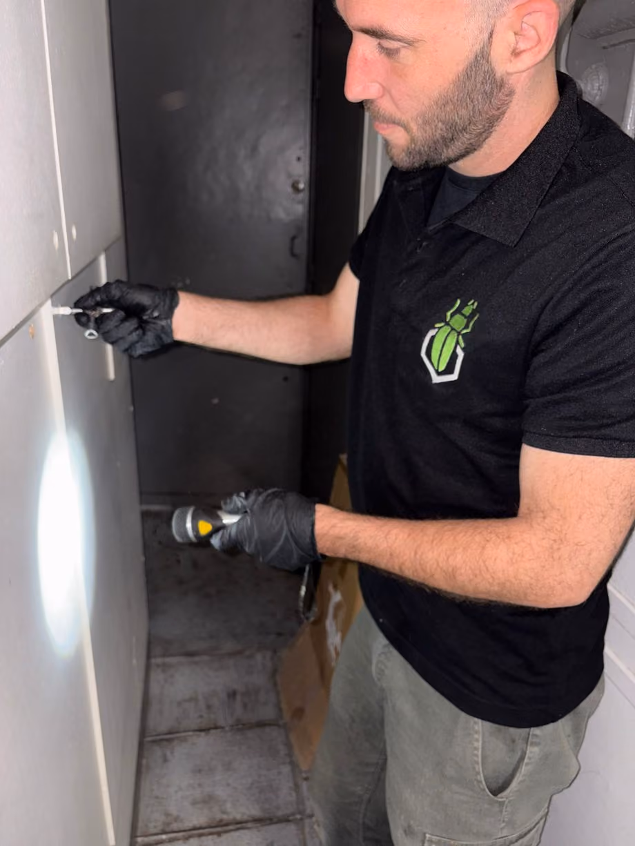 Technicien SafeHome3D inspectant et traitant les parties communes d'une copropriété du quartier de la Bourse à Paris 2e