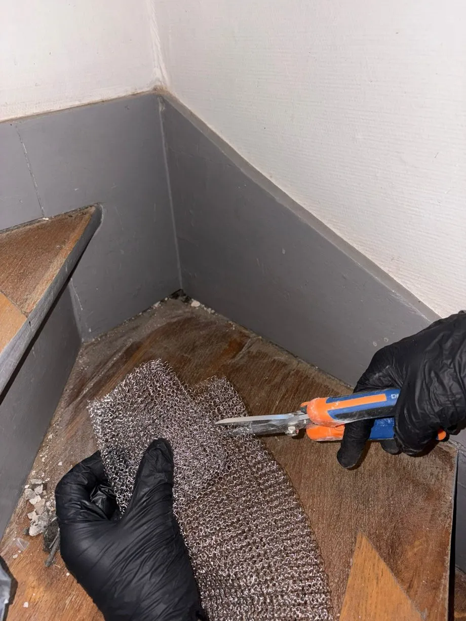 Rebouchage d'un point d'entrée de rongeur à la maille d'acier, découpée à la pince, dans une copropriété