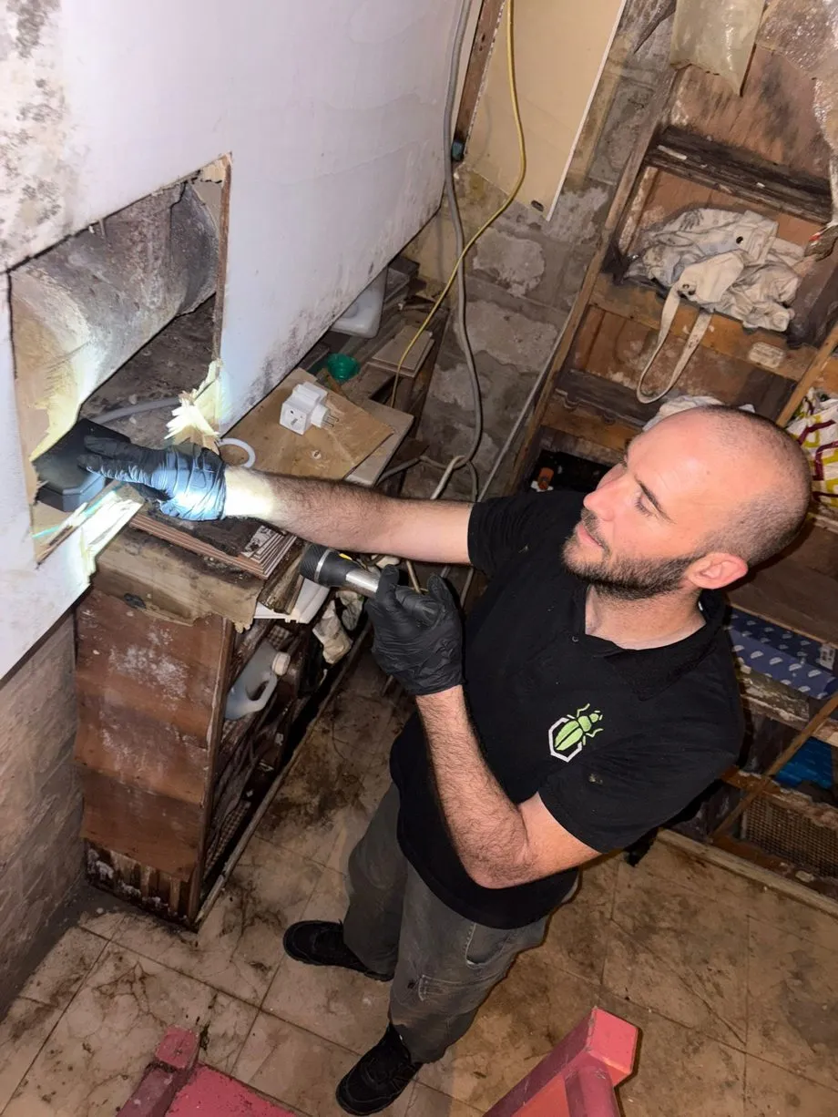 Technicien SafeHome3D traitant un accès de rongeurs dans un logement ancien rue de Turenne, Paris 3e