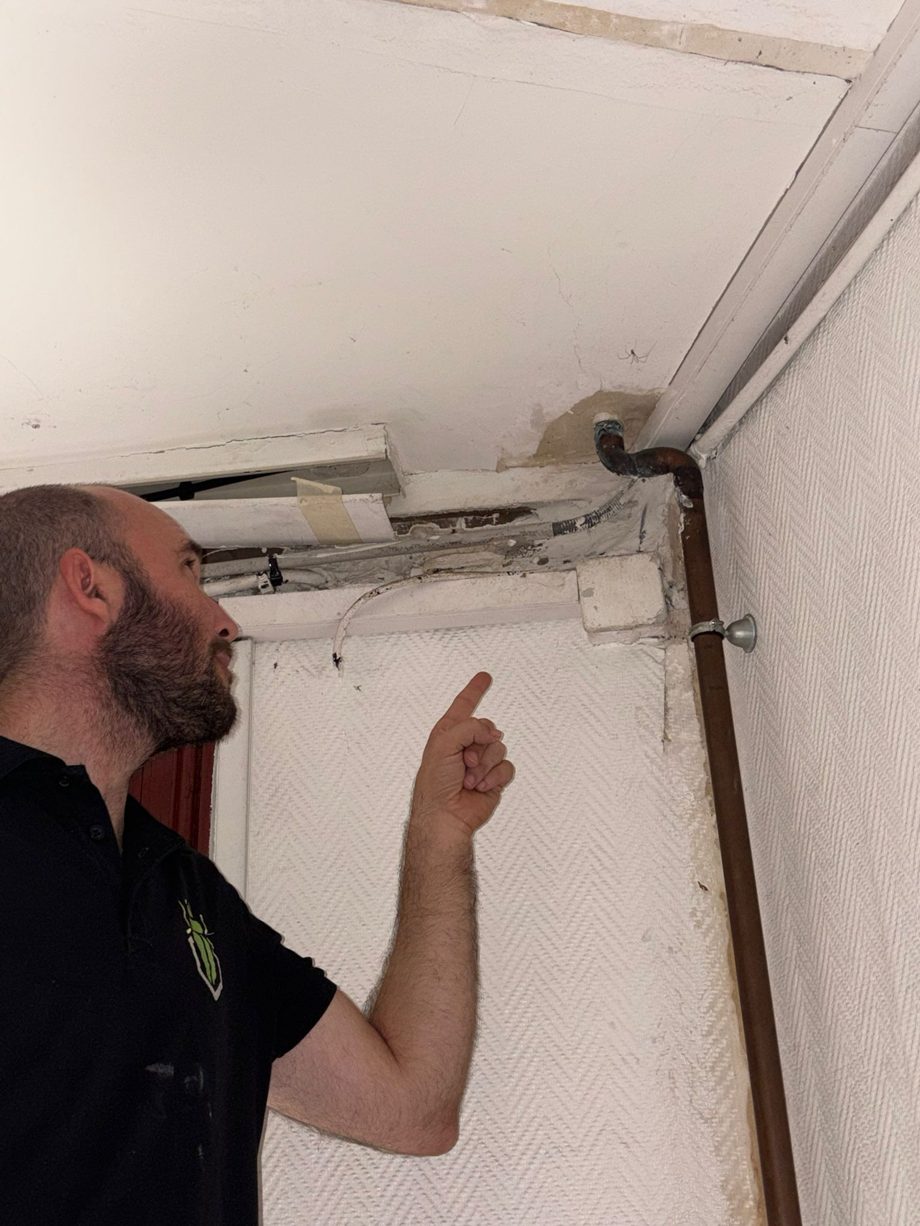 Technicien SafeHome3D controlant la zone traitee en hauteur avant la finition a l'enduit, dans l'entree de la copropriete