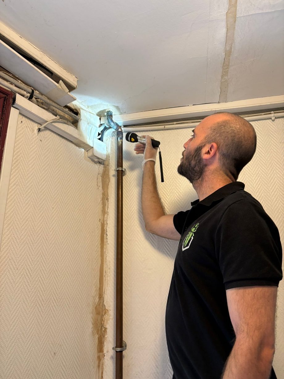 Technicien SafeHome3D inspectant a la lampe torche un point d'entree en hauteur pres du plafond, autour d'une traversee de plomberie, dans l'entree d'une copropriete de l'ile de la Cite
