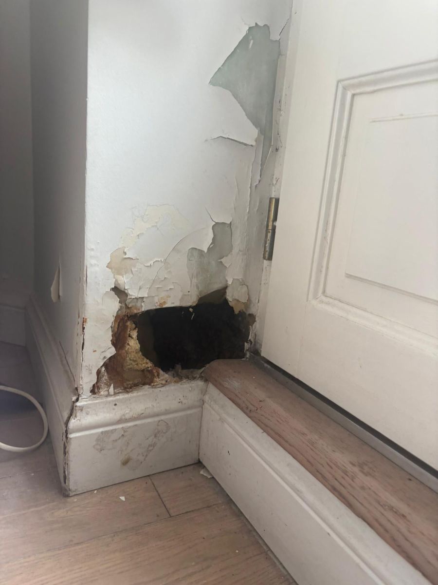 Trou de rongeur dans une plinthe avant rebouchage, appartement ancien Paris 16e