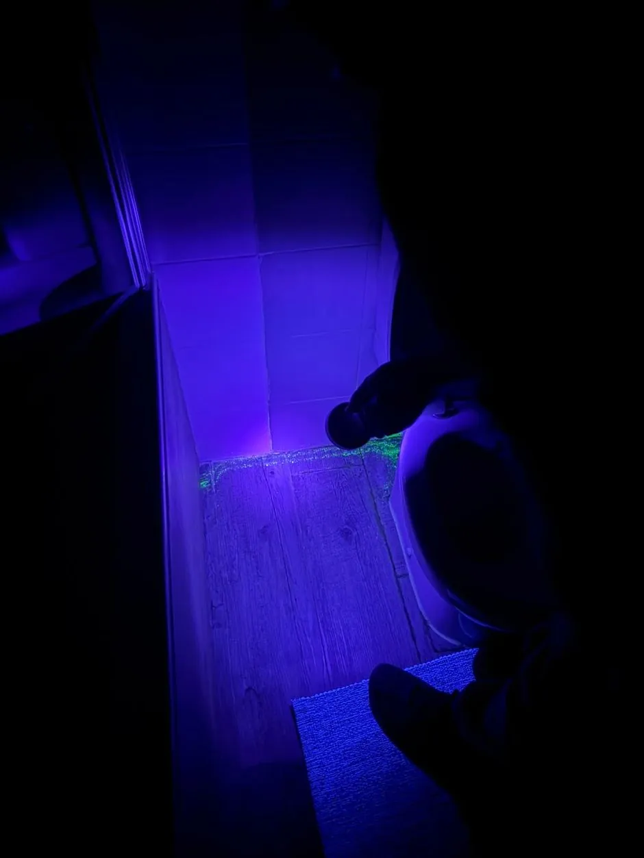 Poudre de traçage fluorescente sous UV révélant le passage des souris sous la baignoire, dératisation rue Saint-André-des-Arts Paris 6e