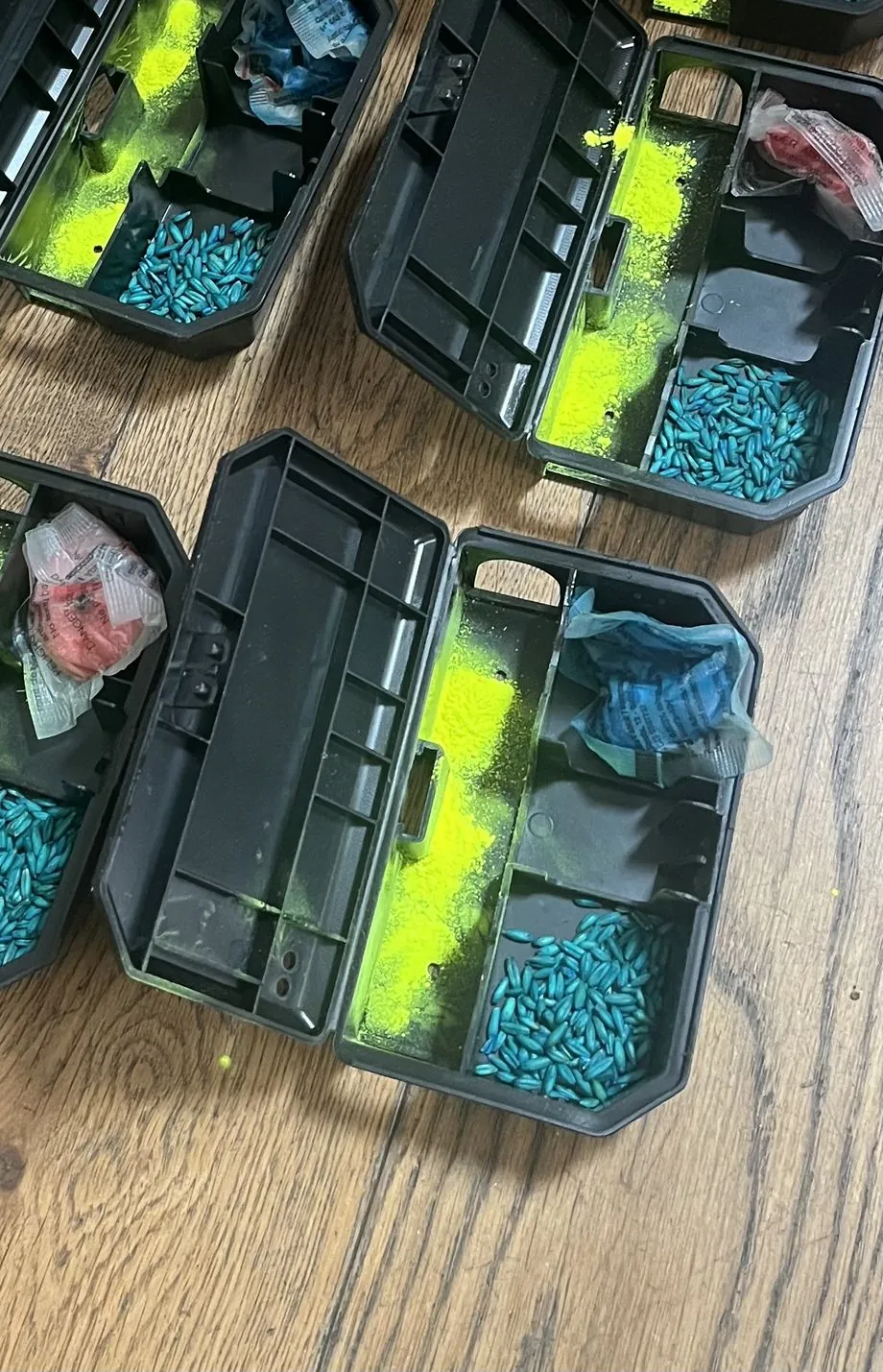 Postes d'appâtage sécurisés préparés pour une dératisation à Paris 5e : appât en pâte fraîche, appât céréales et poudre de traçage fluorescente Fluotrack