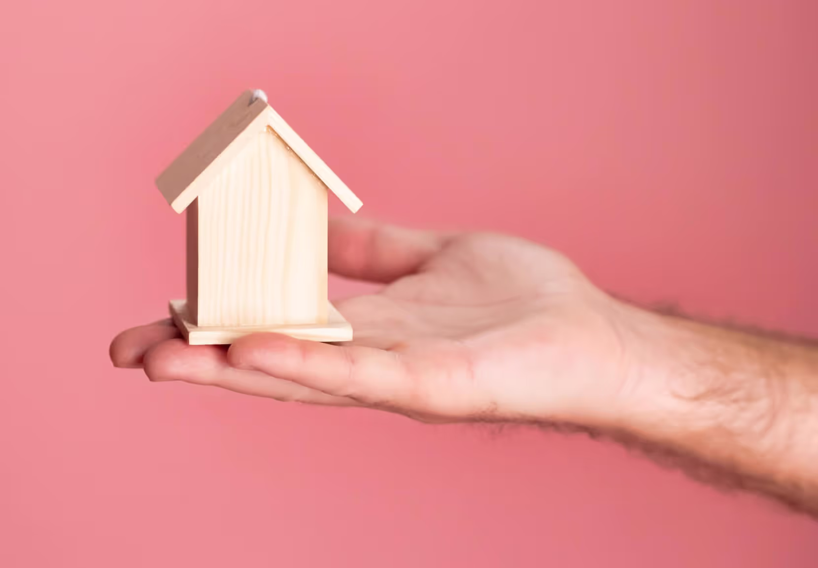 Hand with small house