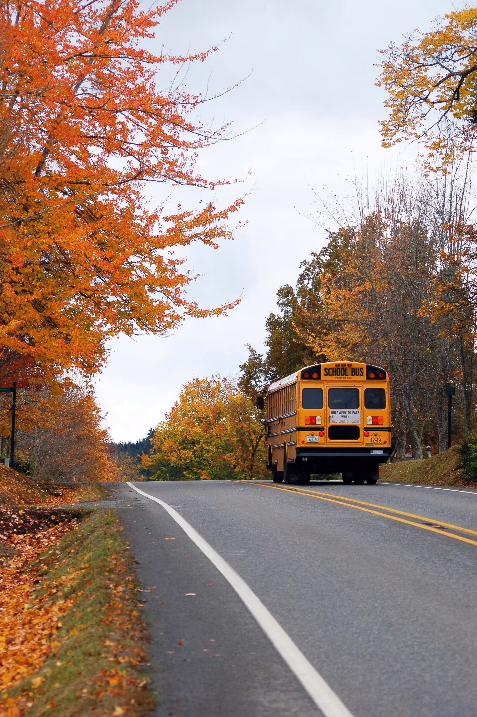 Yellow school bus driving on a road lined with trees bearing colorful autumn leaves.
