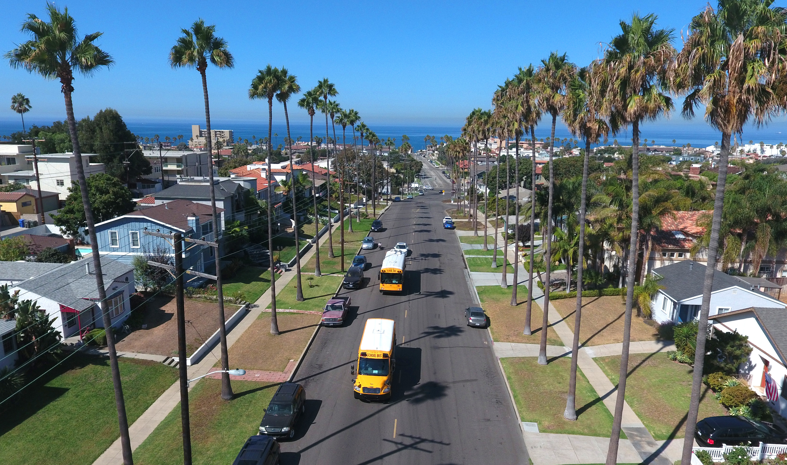 Two yellow school buses driving down a palm-lined California street toward the ocean.