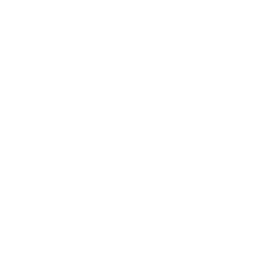 White icon depicting two stylized human figures, one behind the other, representing individual care or personal support.
