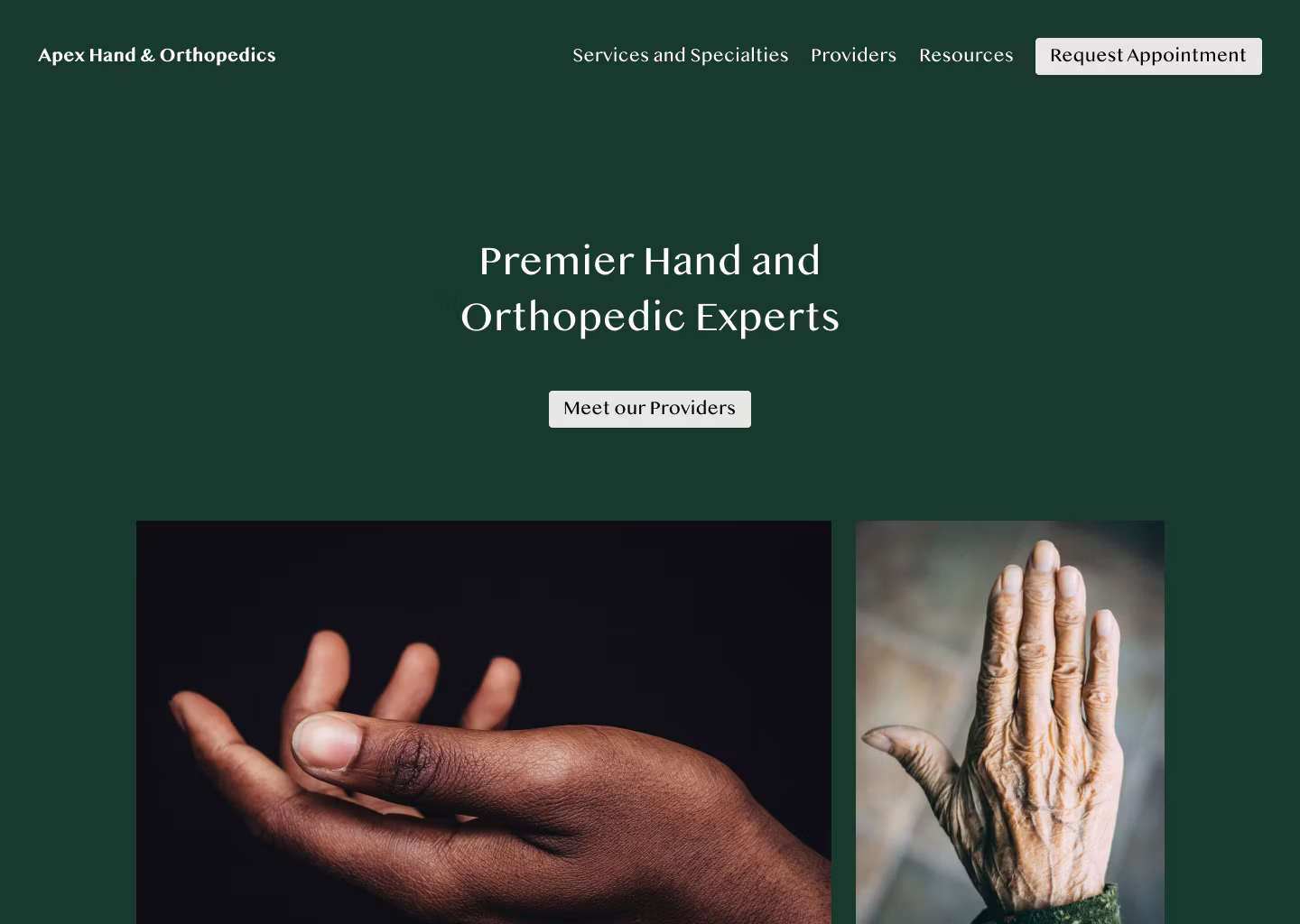 Mockup of specialist's website