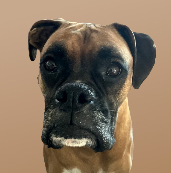 flytedesk team member headshot