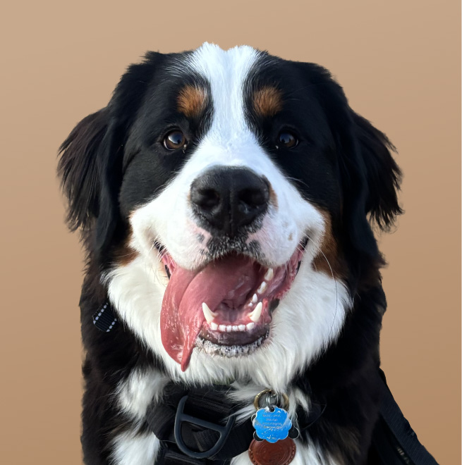 flytedesk team member headshot