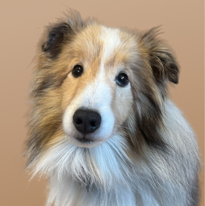 flytedesk team member headshot