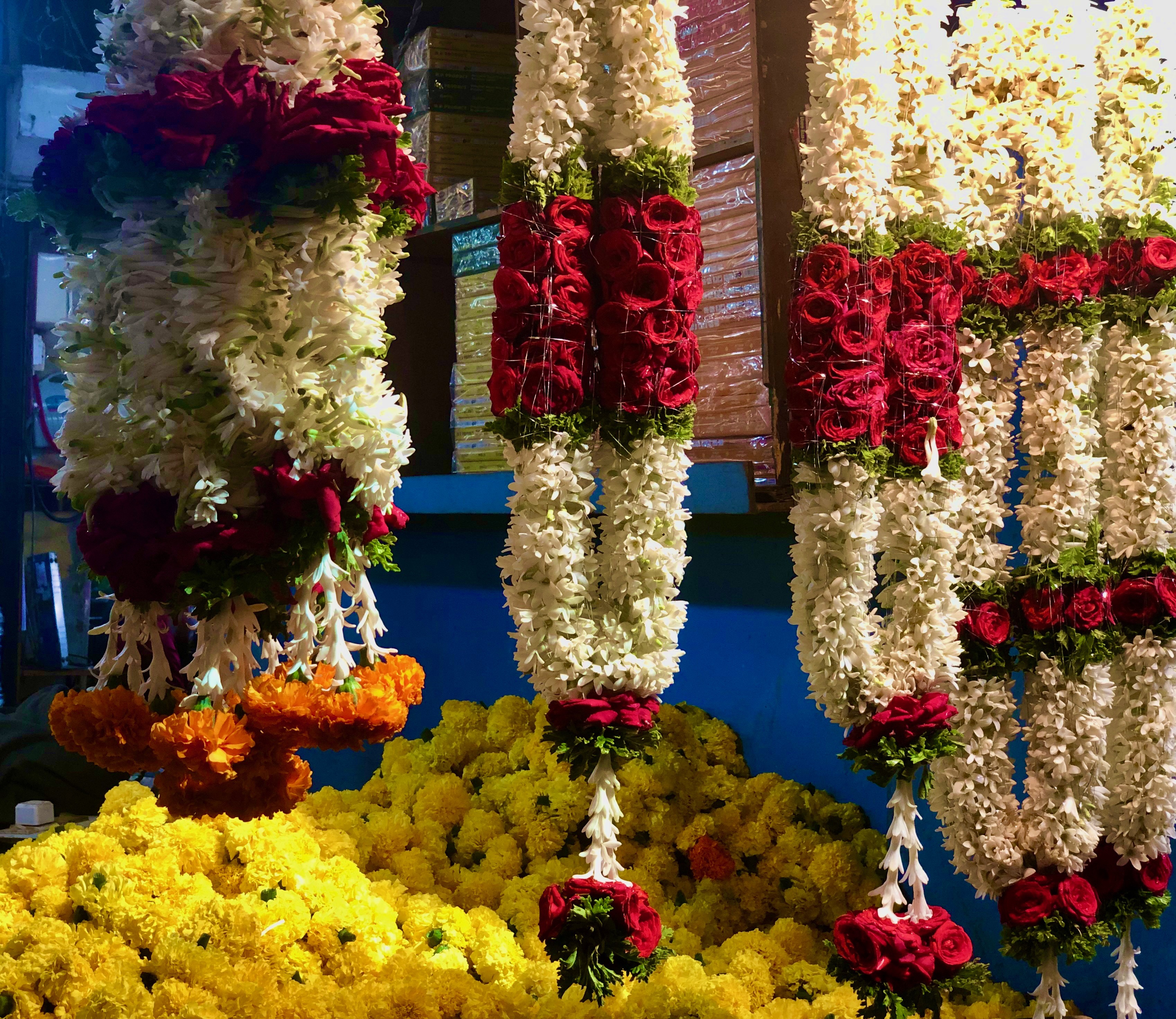 outdoor yoga session