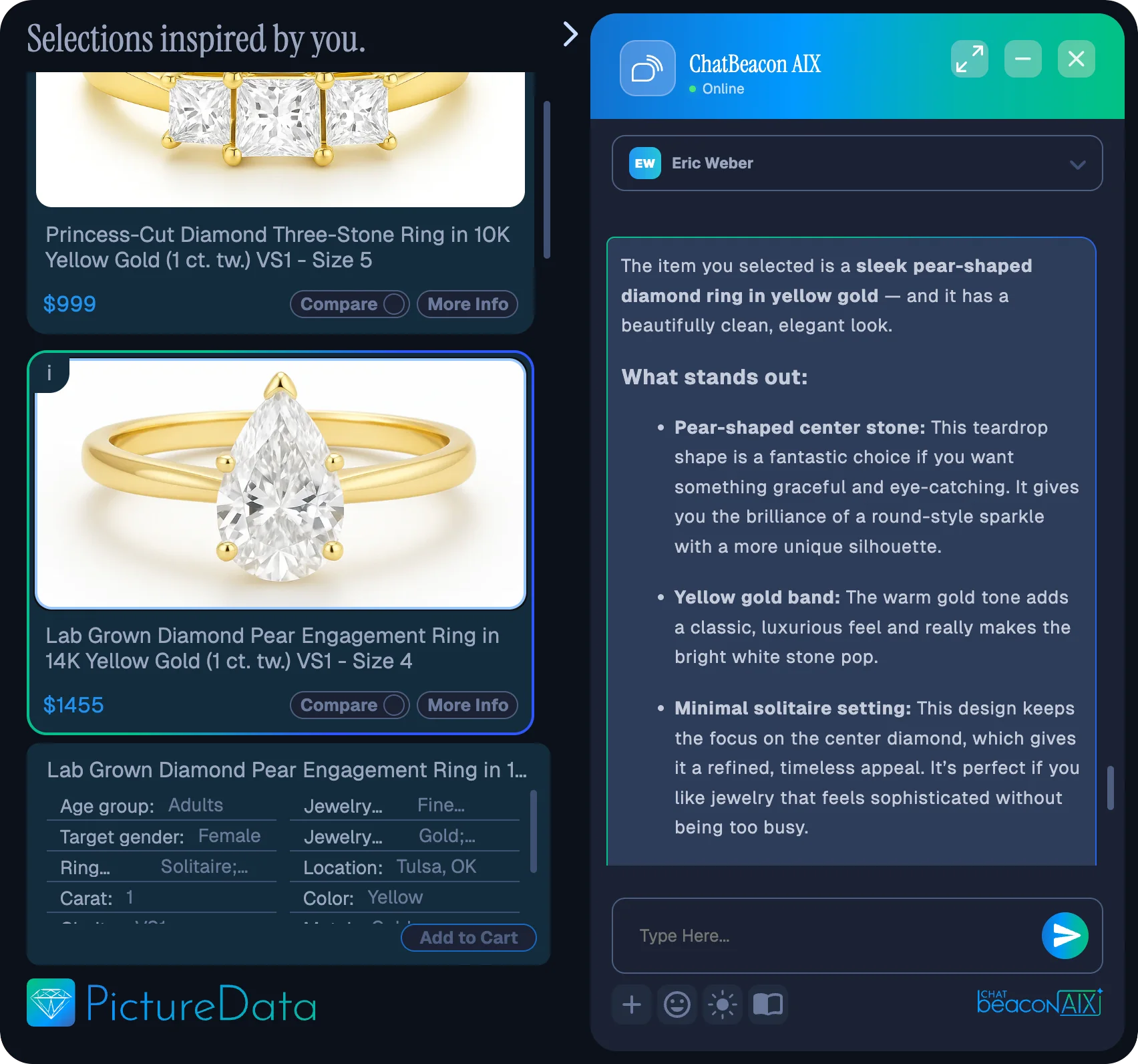 Picture Data Ai Assistant provided descriptions