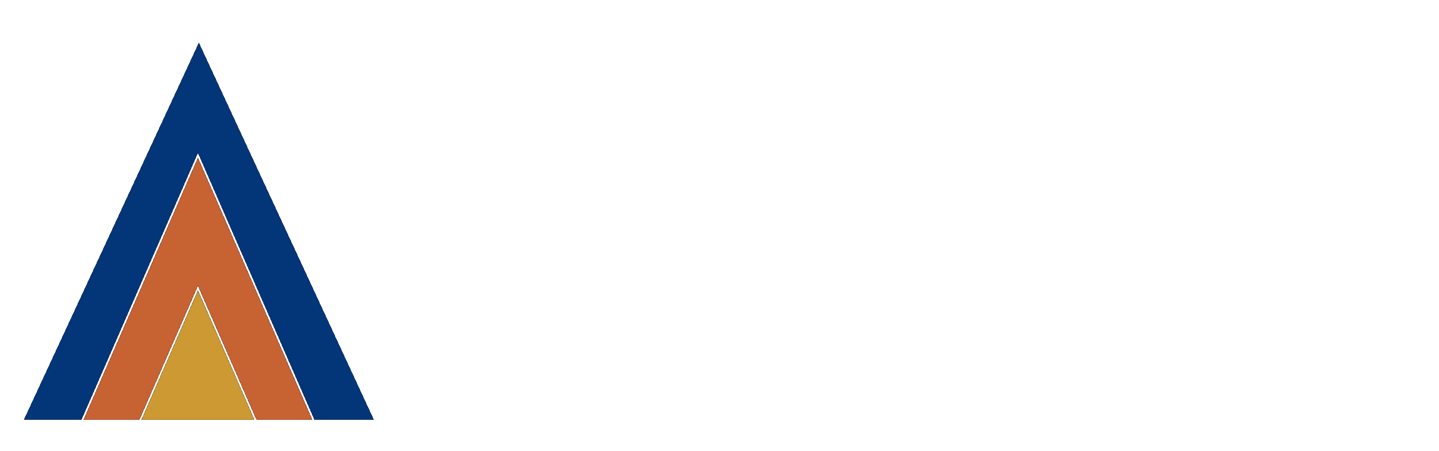 Footer Logo