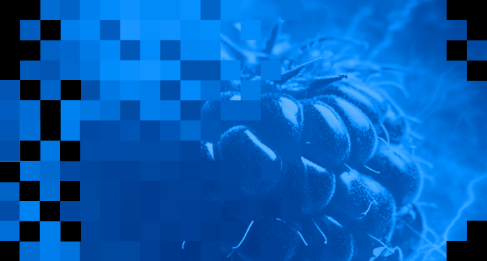 Close-up of a blue raspberry with pixelated blue and black square patterns on the left side.