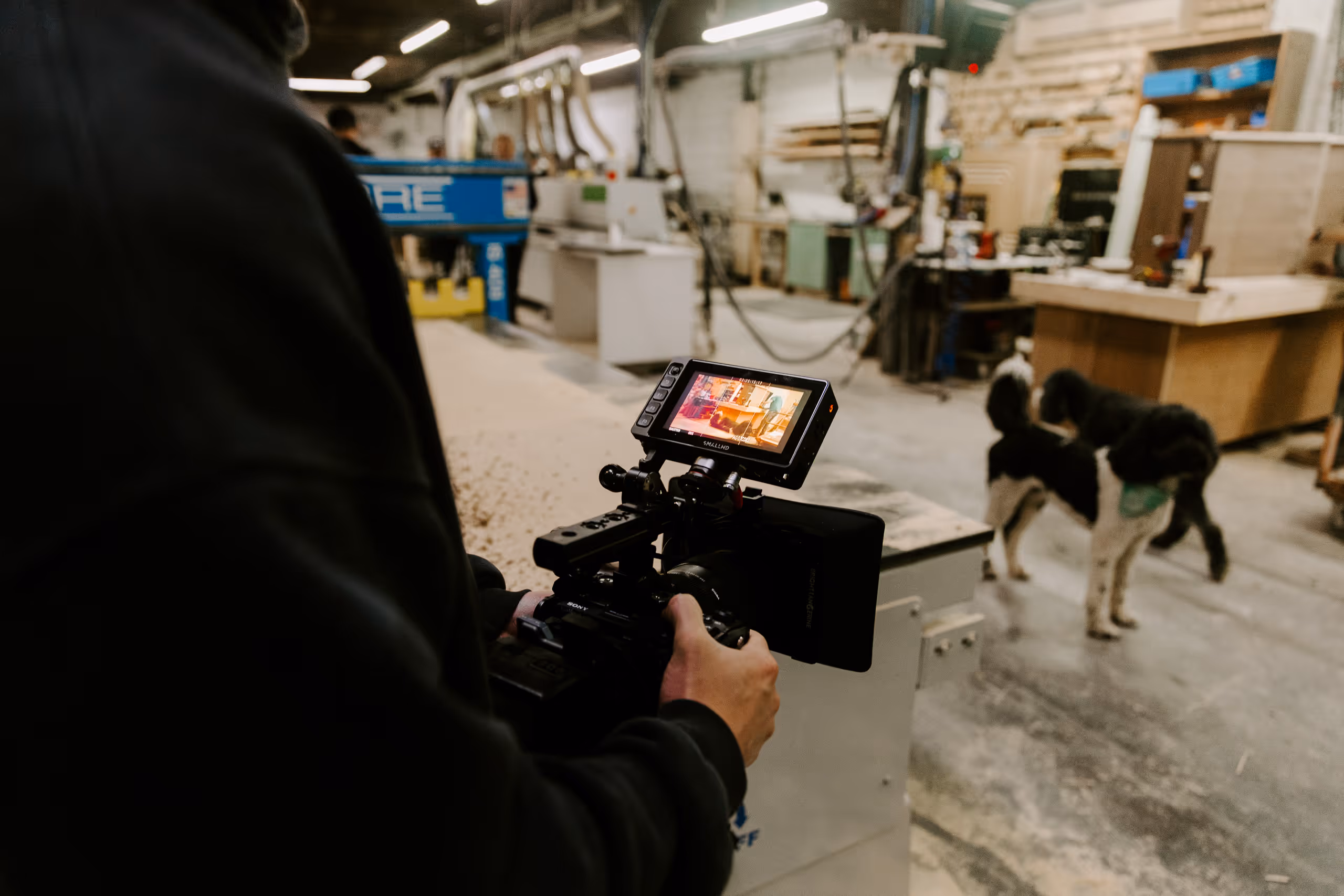 Person filming with a professional camera indoors in a workshop with two black-and-white dogs in the background.